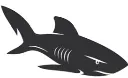 shark.webp